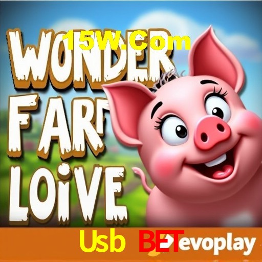 Experiência VIP Usb Bet