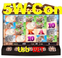 Usb Bet Login