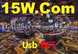 Roulette Table Usb Bet
