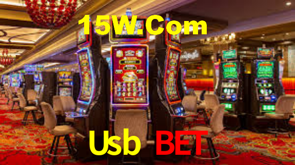 Usb Bet - Installation Guide